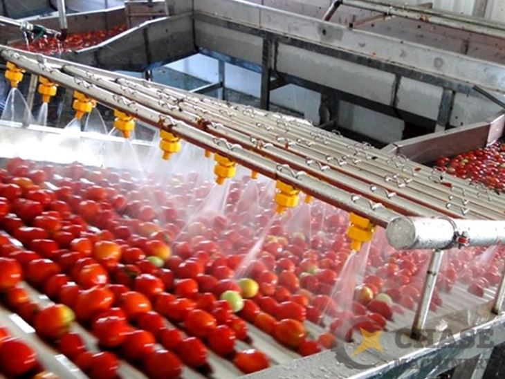 Tomatoes Washing Machine