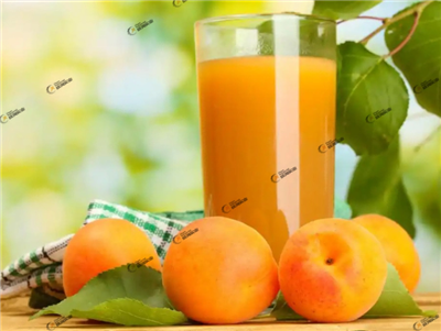 Linha de processamento de damasco